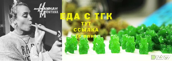 дмт Краснослободск