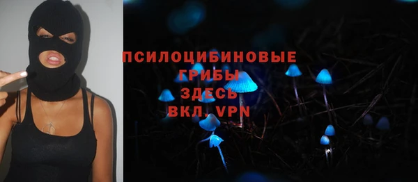 стаф Краснотурьинск