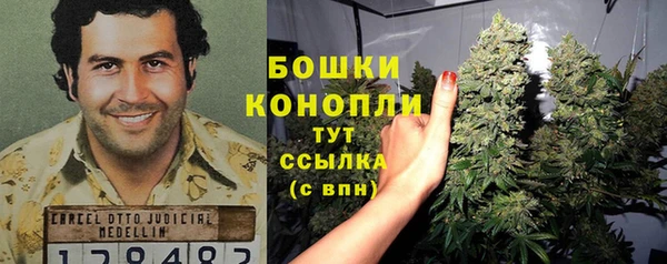 дмт Краснослободск