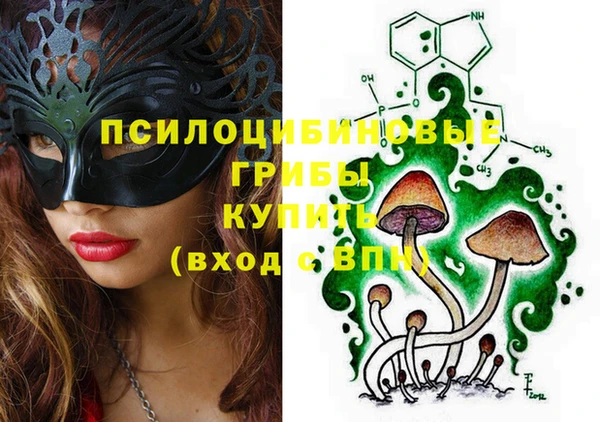 стаф Краснотурьинск