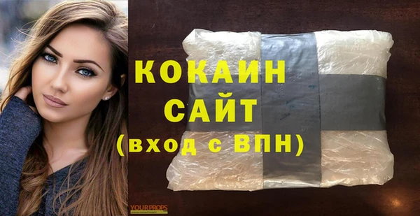 дмт Краснослободск