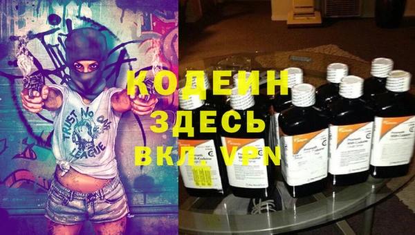 дмт Краснослободск