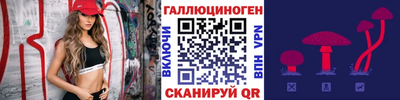 Галлюциногенные грибы мицелий  Купить  Гдов 